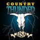 Country thunder usa