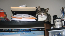 Timeline: Cedar Bayou Watershed Protection Plan