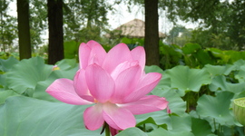 Timeline: Bill's timeline