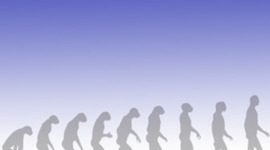 Timeline: Evolution's own scientists