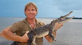 Timeline: Steve Irwin