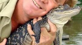 Timeline: Steve Irwin