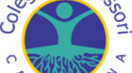 Timeline: Rutina del circulo