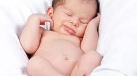 Timeline: HUMAN LIFE CYCLE