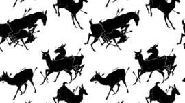 Timeline: Películas/Series