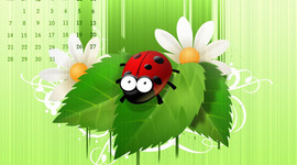 Timeline: божья кровка оказалась божьей тварью