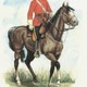 Nwmp