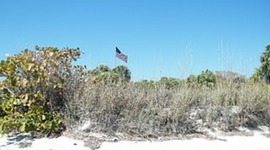 Timeline: Presidential Elections (1981-2009)