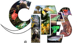 Timeline: Historia del CITES