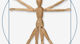 Timeline: Ergonomía