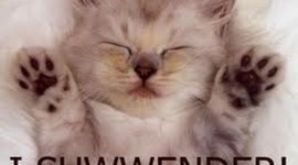 Timeline: Ashs reading log 2012