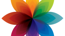 Timeline: SociableGroup Business Timeline