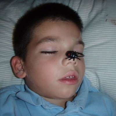 Timeline: Owen's Timeline!