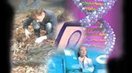 Timeline: Forensics Science 1945-1965