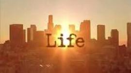 Timeline: History of Life