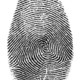 Fingerprint