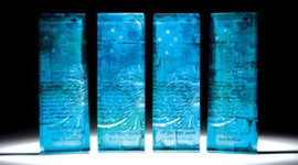 Timeline: Australian of the year