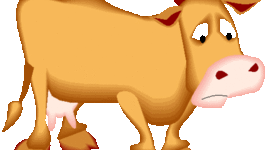 Timeline: BEEF EXPORT NICO Y FRANCO