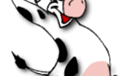 Timeline: frozen beef export sofia budai