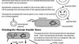 Timeline: Past, Present, and Future of DNA Technology