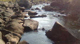 Timeline: La linea de mi Vida