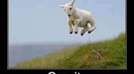 Timeline: ZERO FRAVITY TIME