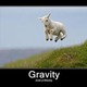 Gravity theory