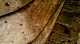 Timeline: European Exploration of WA