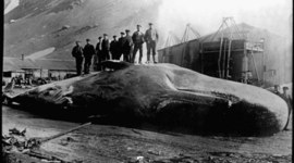 Timeline: 19th Century Science and Literature