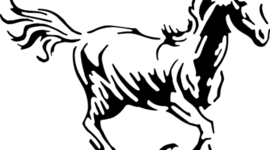 Timeline: Oak Grove This Day in History