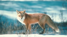 Timeline: 6B M@l@chy Lynelle