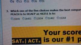 Timeline: 1916 Working with Binet was Standford doing the same as in France but, only in the United States. (Intelligence Test) This test places children in the right education area that they need.
