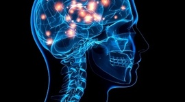 Timeline: 1905 Intelligence Test was finally published in France after lots of studying on mental retardation so he would know how to assess children. This test determines the level of intelligence and cognitive functioning.