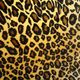 Leopard20print