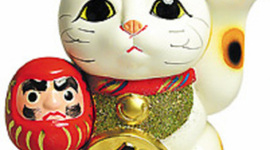 Timeline: A Life Full of Experiences