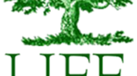 Timeline: Life of David