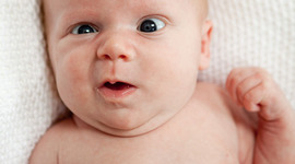 Timeline: La vida de Anderson