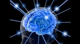 Timeline: Orígenes de las neurociencias