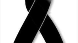 Timeline: historia del software