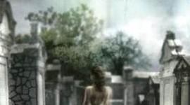 Timeline: Ruined by Paula Morris