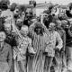 220px prisoners liberation dachau 1