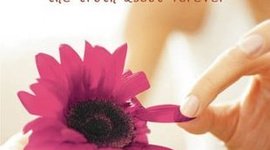 Timeline: The Truth About Forever by Sarah Dessen