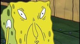 Timeline: Hayley the dumb bitch