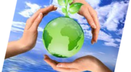 Timeline: Antecedentes de la Sustentabilidad