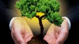 Timeline: Antecedentes de la Sustentabilidad