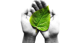 Timeline: Antecedentes de la Sustentabilidad