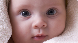 Timeline: Margarita Sánchez Blancas