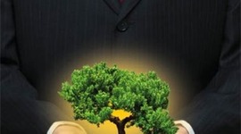 Timeline: Linea del tiempo de Sustentabilidad