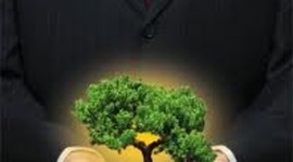 Timeline: ANTECEDENTES DE LA SUSTENTABILIDAD