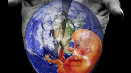 Timeline: antecedentes de la sustentabilidad